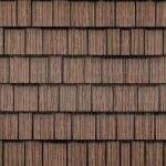 Cedar